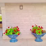 Last Chance, Brac * Povlja (Brac)
