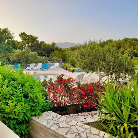 Last Chance, Brac *