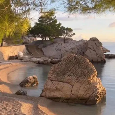 Last Chance, Brac *