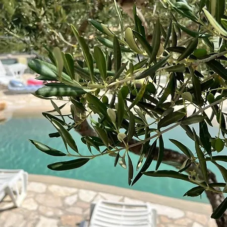 Last Chance, Brac Apartman *